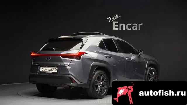 Lexus UX UX250h 2019 года - похожие автомобили