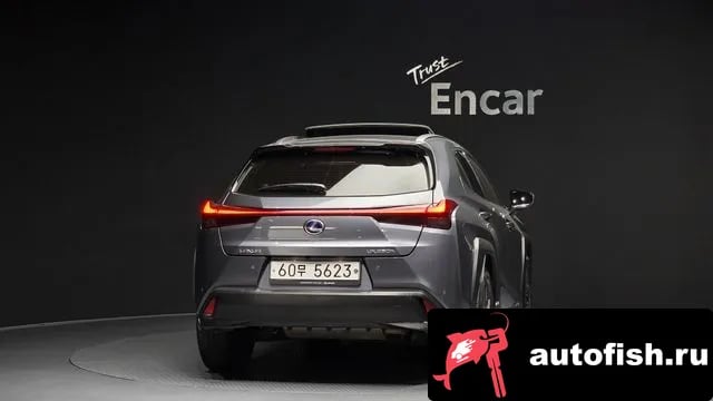 Lexus UX UX250h 2019 года - вид 4