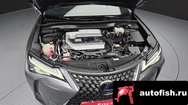 Lexus UX UX250h 2019 года - вид 6