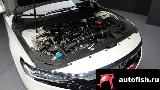 Honda Accord Accord 10th Generation 2019 года - вид 6