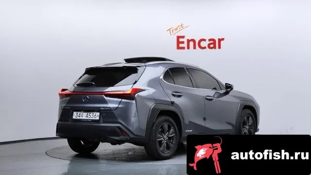 Lexus UX UX250h 2019 года - вид 2