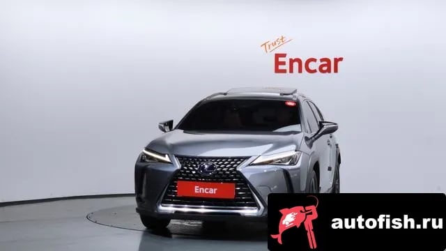 Lexus UX UX250h 2019 года - вид 3