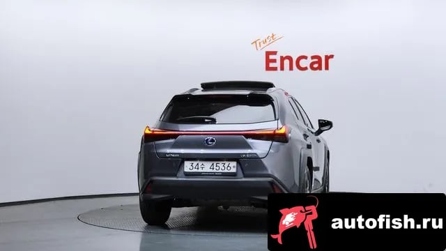 Lexus UX UX250h 2019 года - вид 4