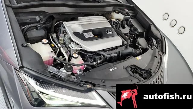 Lexus UX UX250h 2019 года - вид 6
