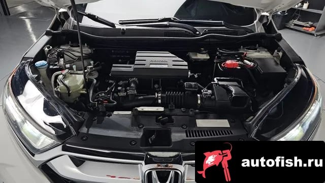 Honda CR-V CR-V 5th generation 2019 года - вид 5