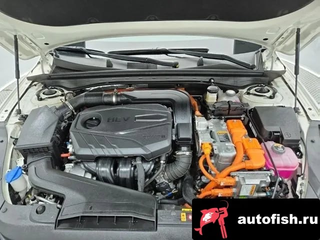 Kia K5 The New K5 Hybrid 3rd generation 2024 года - вид 5