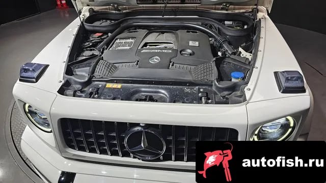 Mercedes-Benz G-Class G-Class W463b 2020 года - вид 6