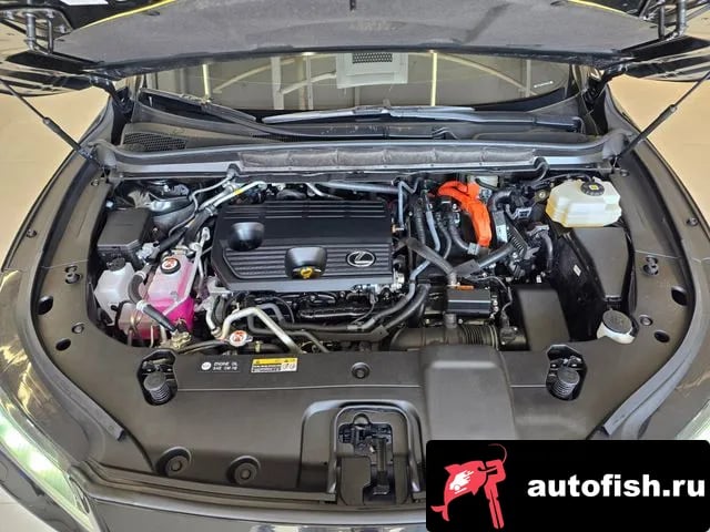 Lexus RX RX450h + 5th generation 2025 года - вид 6