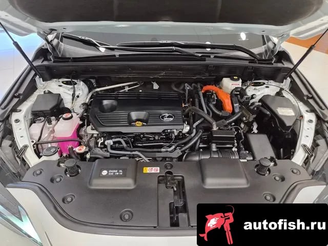Lexus NX NX350h Second generation 2024 года - вид 5