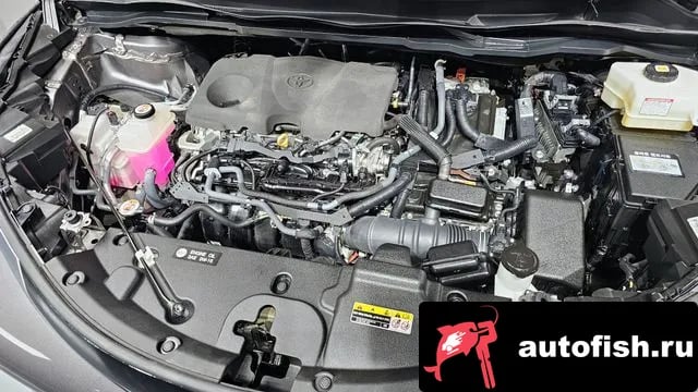 Toyota Sienna Siena 4th Generation 2023 года - вид 6
