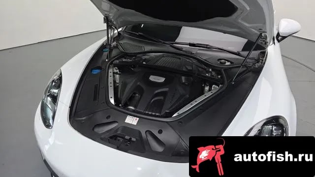 Porsche Panamera Panamera (971) 2019 года - вид 6