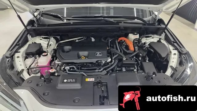 Lexus NX NX350h Second generation 2023 года - вид 6