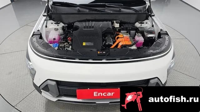 Hyundai Kona Kona Hybrid (SX2) 2025 года - вид 5