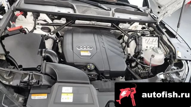 Audi Q5 Q5 (FY) 2022 года - вид 6