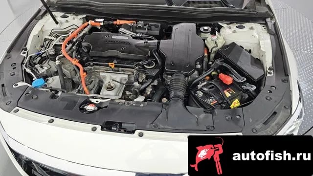 Honda Accord Accord 10th Generation 2019 года - вид 5