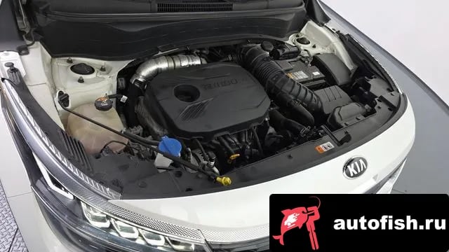 Kia Seltos Celtos 2020 года - вид 6