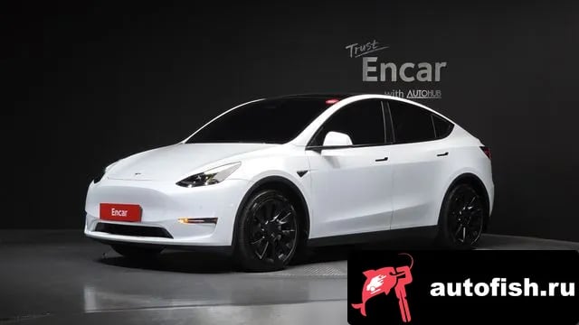 Tesla Model Y Model Y 2022 года - автомобиль из Южной Кореи