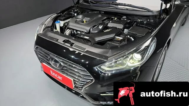 Hyundai Sonata Sonata New Rise 2018 года - вид 6