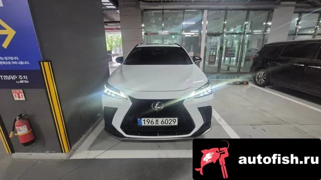 Lexus NX NX450h + 2nd generation 2022 года - вид 3