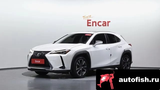 Lexus UX UX250h 2019 года - вид 1