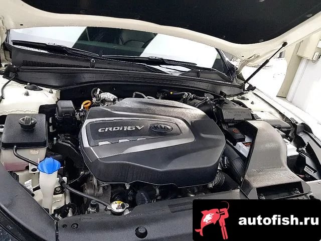 Kia K7 K7 Premier 2020 года - вид 6