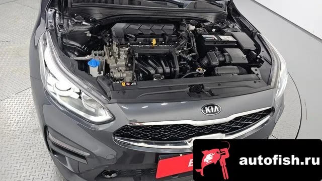 Kia K3 Come New K3 2019 года - вид 6