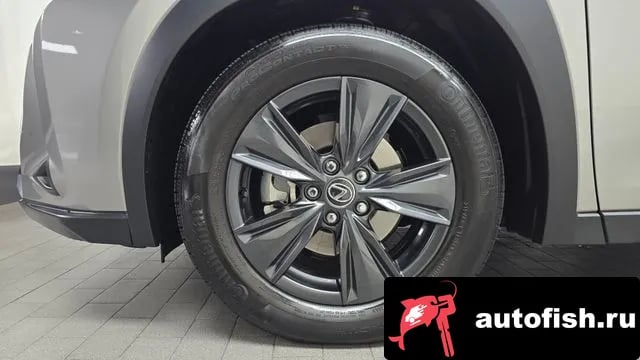 Lexus UX UX300h 2025 года - вид 5