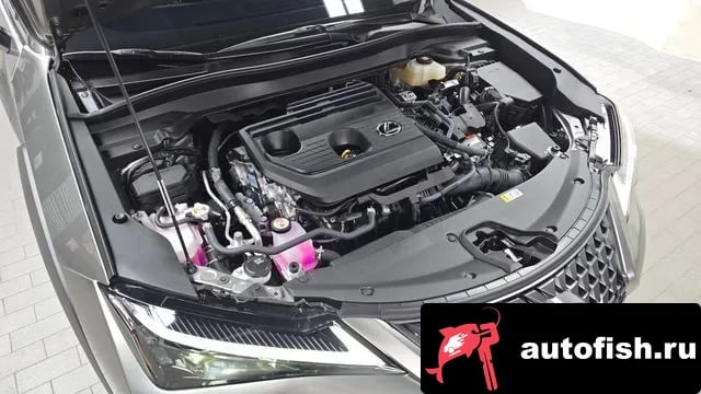 Lexus UX UX300h 2025 года - вид 6