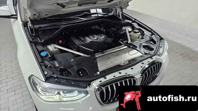 BMW X4 X4 (G02) 2019 года - вид 6