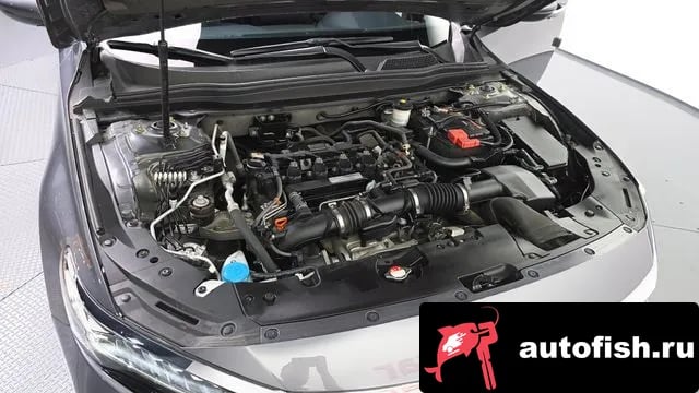 Honda Accord Accord 10th Generation 2019 года - вид 6