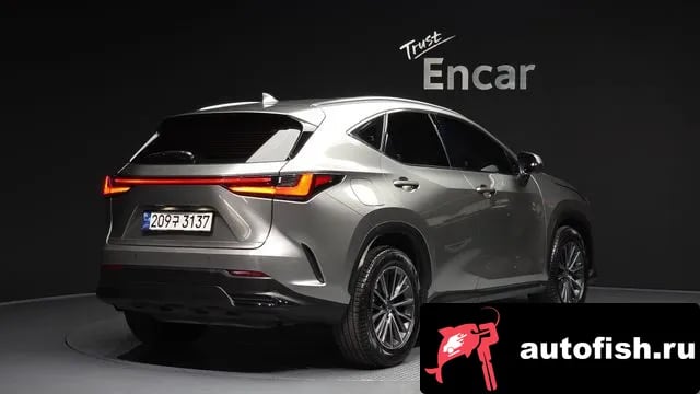 Lexus NX NX450h + 2nd generation 2023 года - вид 2