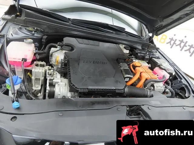 Hyundai AVANTE The New Avante Hybrid (CN7) 2024 года - вид 6