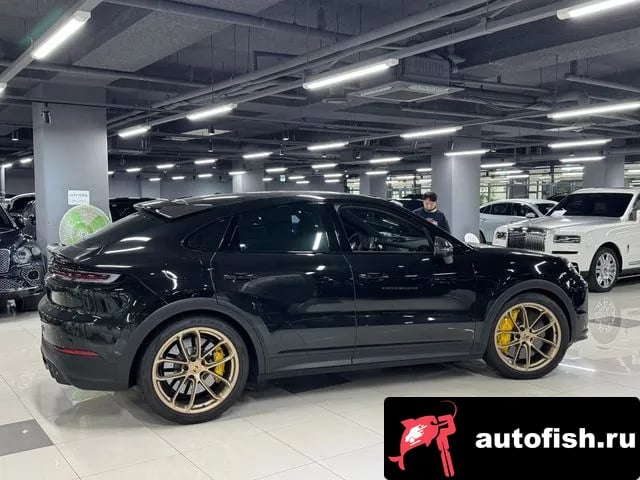 Porsche Cayenne Cayenne (PO536) 2024 года - вид 2