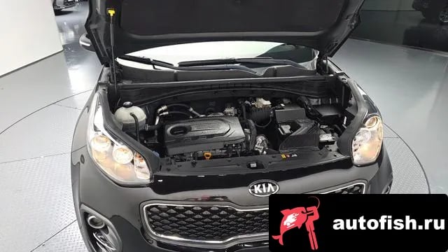 Kia Sportage Sportage 4th Generation 2018 года - вид 6