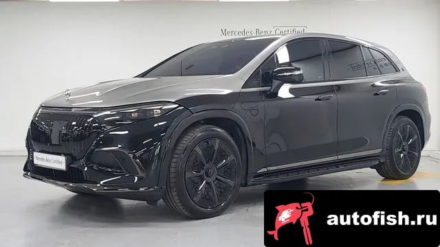 Mercedes-Benz EQS EQS SUV X296 2024 года - вид 1