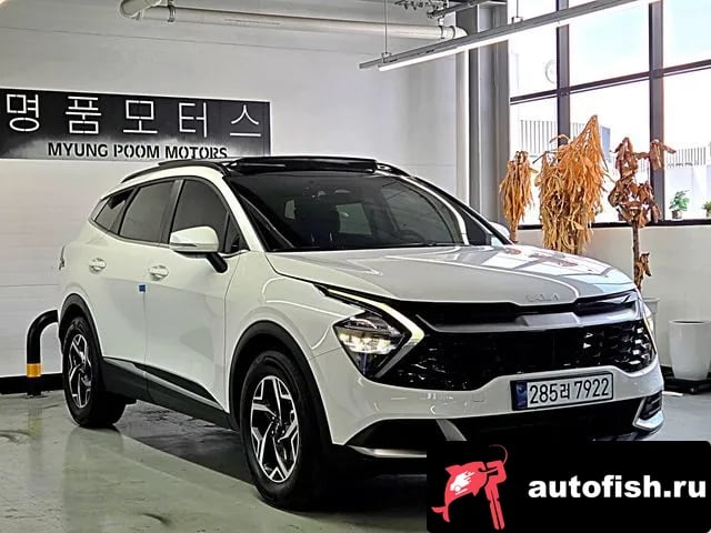 Kia Sportage Sportage 5th Generation 2024 года - вид 2