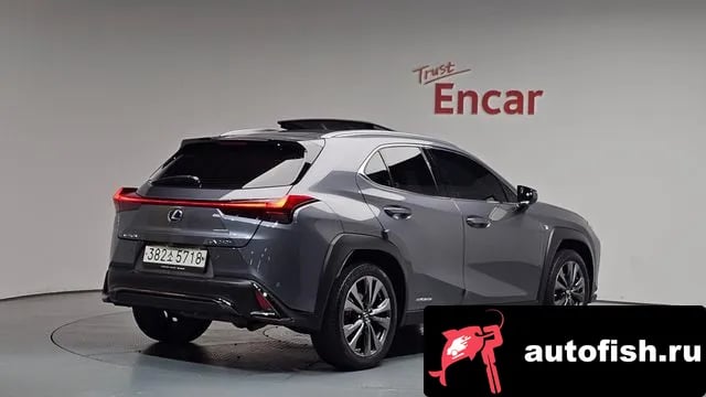 Lexus UX UX250h 2021 года - вид 1