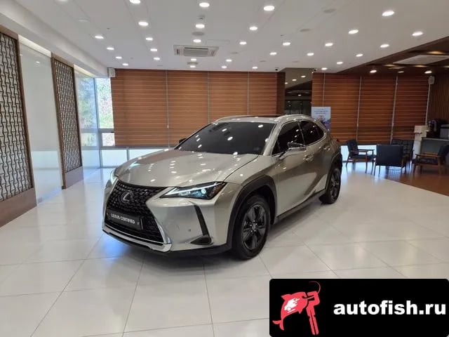 Lexus UX UX250h 2024 года - похожие автомобили