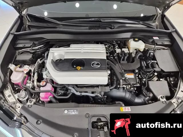 Lexus UX UX250h 2024 года - вид 6
