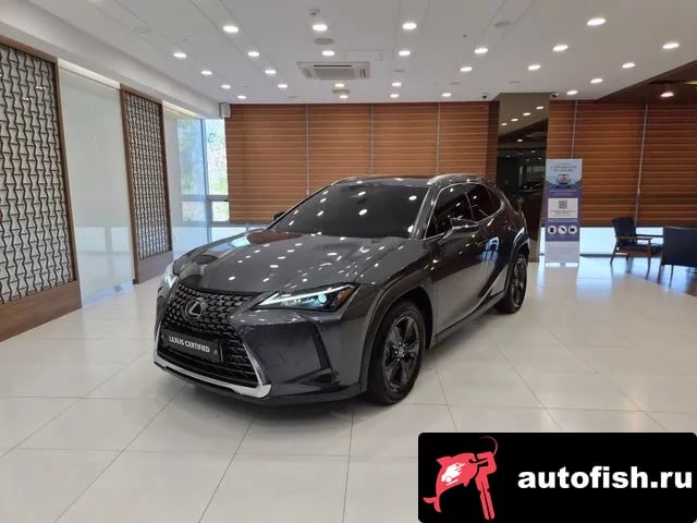 Lexus UX UX300h 2024 года - вид 1