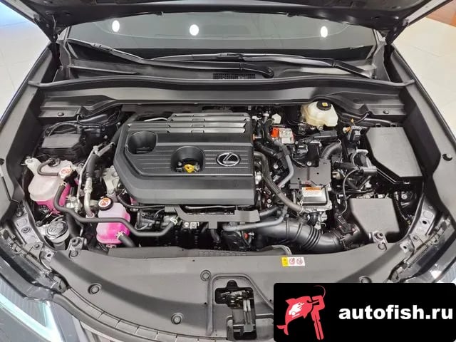 Lexus UX UX300h 2024 года - вид 5