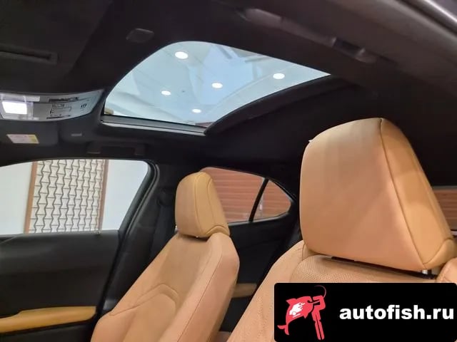 Lexus UX UX300h 2024 года - похожие автомобили