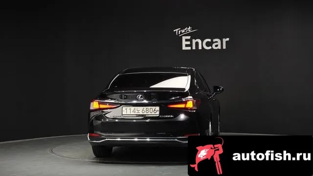 Lexus ES ES300h 7th generation 2020 года - вид 4
