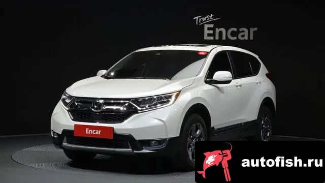Honda CR-V CR-V 5th generation 2019 года - вид 1