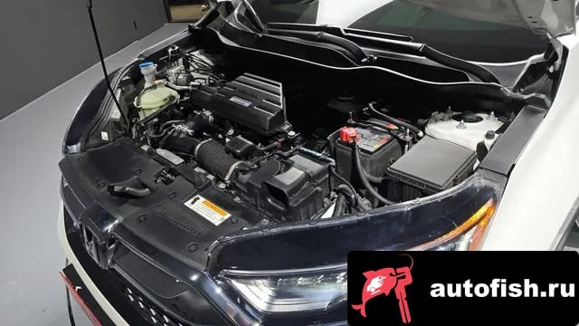 Honda CR-V CR-V 5th generation 2019 года - вид 6