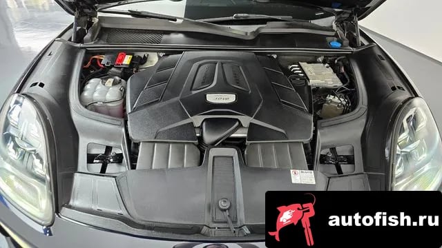 Porsche Cayenne Cayenne (PO536) 2019 года - вид 6