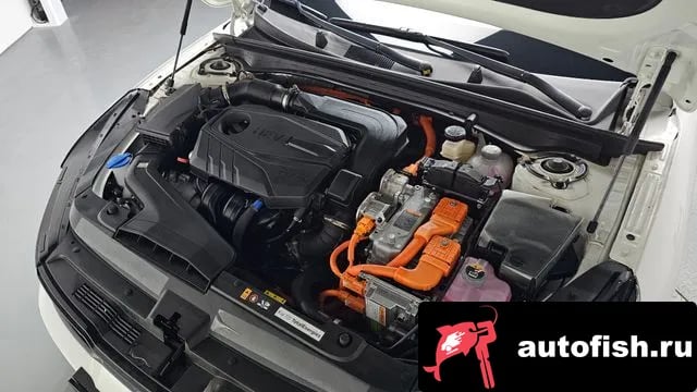 Kia K5 The New K5 Hybrid 3rd generation 2025 года - вид 5
