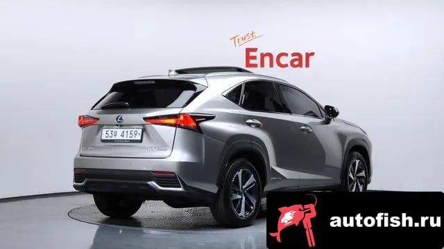 Lexus NX NX300h 2019 года - вид 2
