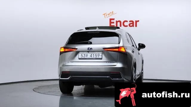 Lexus NX NX300h 2019 года - вид 4