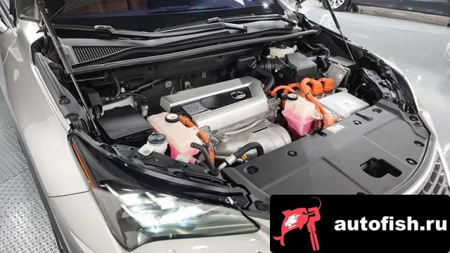 Lexus NX NX300h 2019 года - вид 6